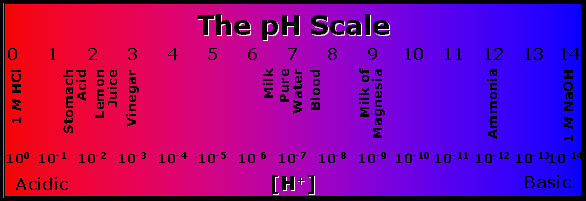 pH_Scale