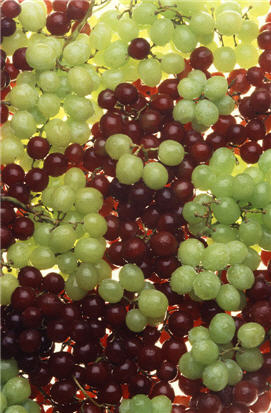 Grapes_USDA
